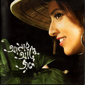 Cholo Brishtitey Viji artwork