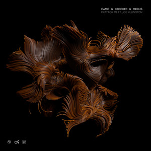 Écouter "Pray For Me" de Camo & Krooked