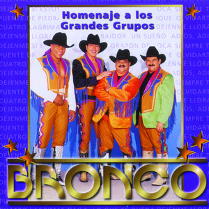 Écouter "Naila" de Bronco