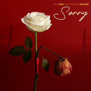 Sorry