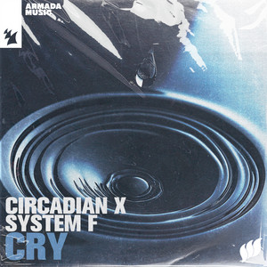9点セット System CD / Corsten, F Ferry 廃盤レア盤