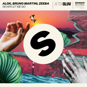 Escute a nova track de Alok, Bruno Martini e Zeeba, “Never Let Me