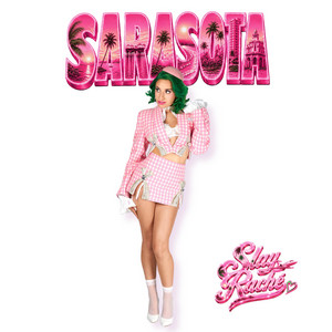 Sarasota single artwork