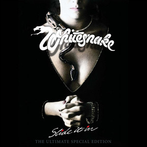WHITESNAKE『SLIDE IT IN』1984年 UK盤アルバム・レビュー - Tomozy