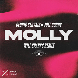 Écouter "MOLLY (Will Sparks Remix)" de Will Sparks