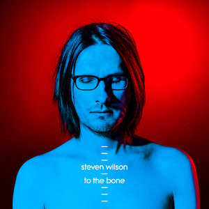 Steven Wilson – To The Bone | Mr Kinski's Music Shack