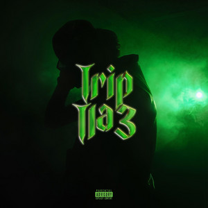 Pochette — TRIP TLA3
