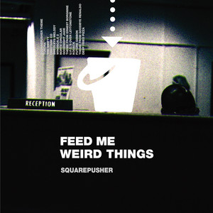 Wax Poetics: Braindance - Aphex Twin & Squarepusher – Patta US