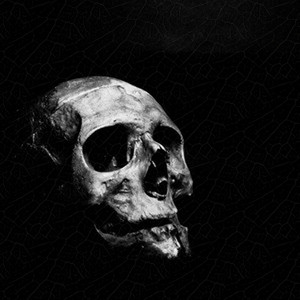 Écouter "Zombie" de puremind