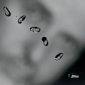 Écouter "I Grieve" de Peter Gabriel