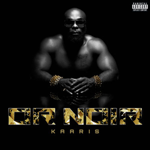 Écouter "Zoo" de Kaaris