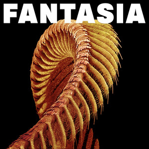 Slift - Fantasia Sparkle Starlight Vinyl 2LP | Sub Pop 2026