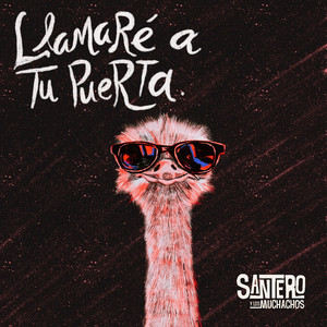 Llamaré a tu puerta