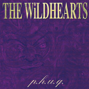 THE WiLDHEARTS 『P.H.U.Q.』（1995年） アルバム・レビュー - Tomozy