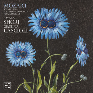 Sayaka Shoji - Agence Diane du Saillant