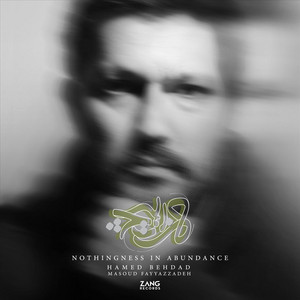 Nothingness in Abundance - Hamed Behdad