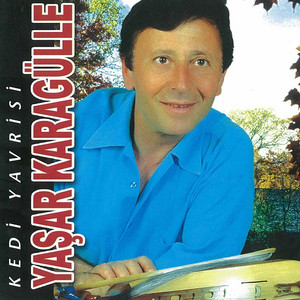 Kedi Yavrisi artwork