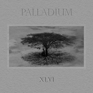 Palladium cover art