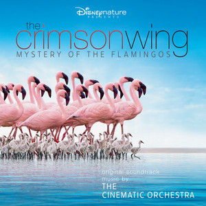 Écouter "Crimson Skies" de The Cinematic Orchestra