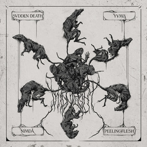 Svdden Death, Nimda, yvm3 & Peeling Flesh Unleash Moshpit