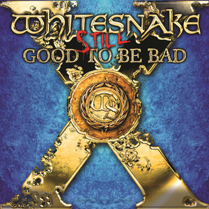 Whitesnake Detail STILL GOOD TO BE BAD Super Deluxe Box Set | Rhino