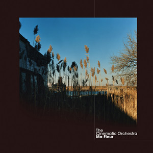 Écouter "Child Song" de The Cinematic Orchestra