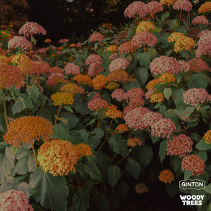 Écouter "One Millie" de 1da Banton