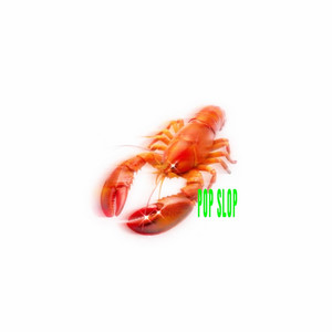 pop slop - ผ้าอ้อม99999 | Spotify