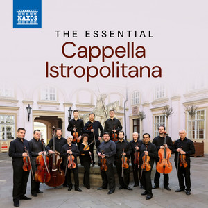 Écouter "IV. Allegro" de Capella Istropolitana