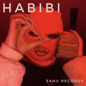 Habibi artwork