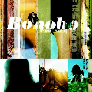 Écouter "Terrapin" de Bonobo