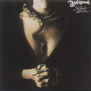 Whitesnake vinyl record - Slide It In - buy at Quals