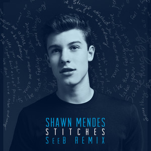Écouter "Stitches - Seeb Remix" de Shawn Mendes