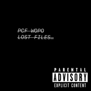 A.O.T.P. artwork