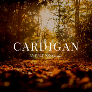 Cardigan (TikTok Version) (Remix) artwork