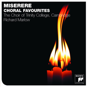 Cover — beluister Miserere mei, Deus op Spotify