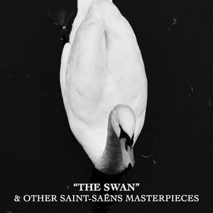 Écouter "The Carnival of the Animals, R. 125: XIII. The Swan (Arr. for Cello and Piano)" de Camille Saint-Saëns