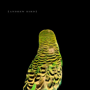 Andrew Bird - Armchair Apocrypha (Vinyl) | Fat Possum Records