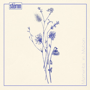 Écouter "Moments (Outro)" de sternn