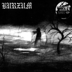 Burzum – Burzum/Aske - Gear & Equipment Used on the Album | Equipboard