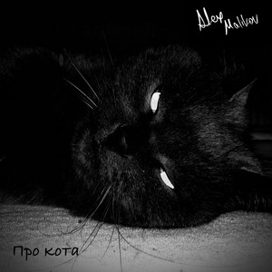 Про кота — обложка релиза