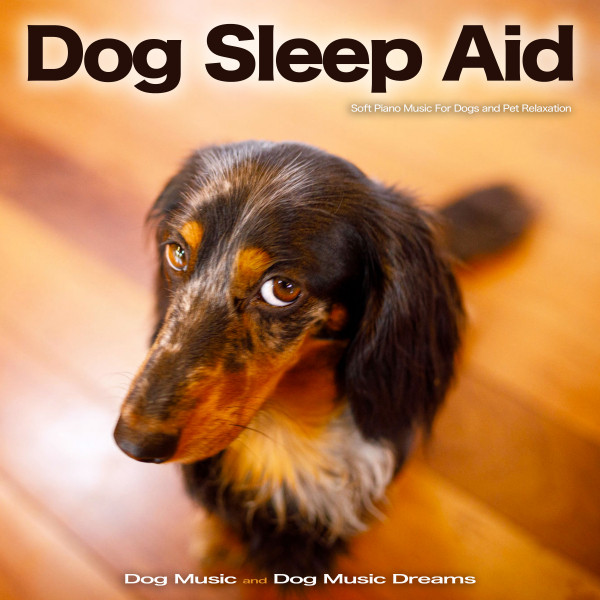 Dog Sleep Aid album cover