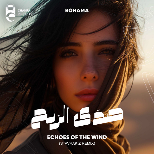 Echoes Of The Wind (Stavrakiz Remix) cover art
