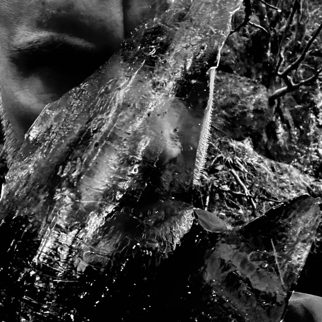 Taake - En Skog av Nidstang