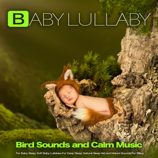 Baby Lullaby album cover