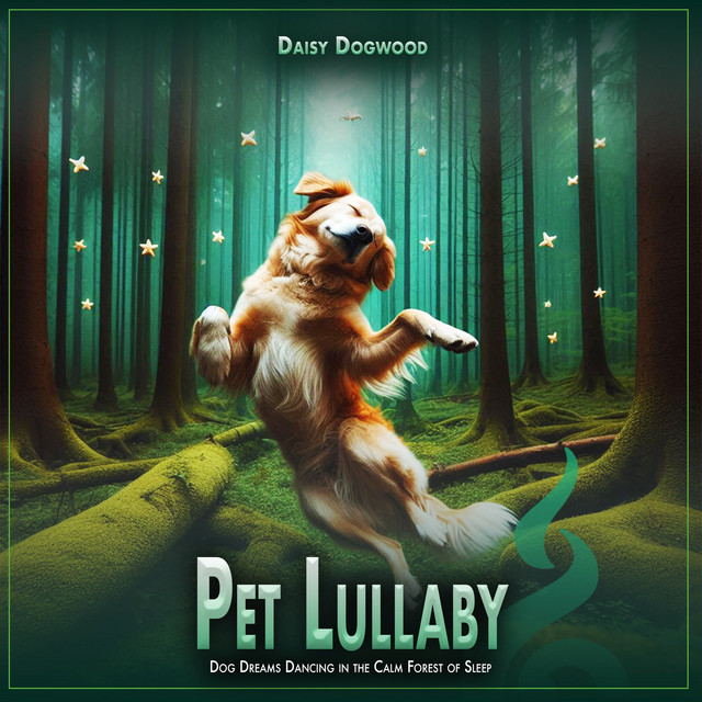 Pet Lullaby album cover