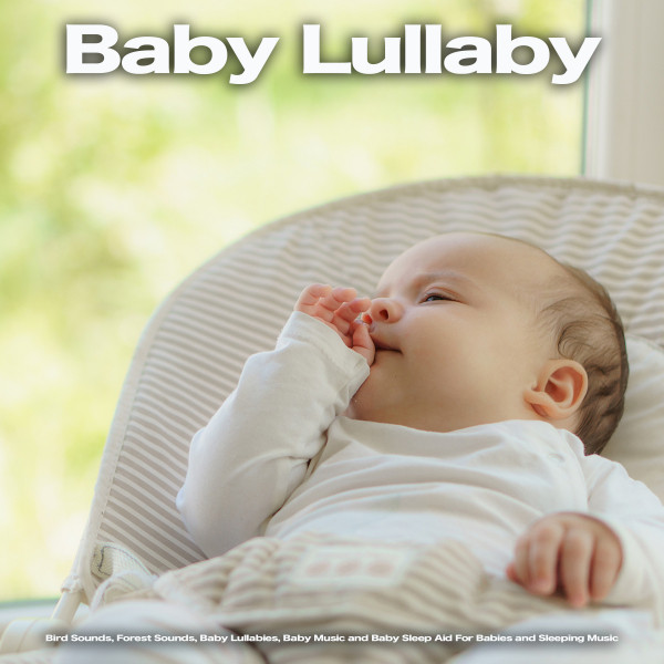 Baby Lullaby album cover