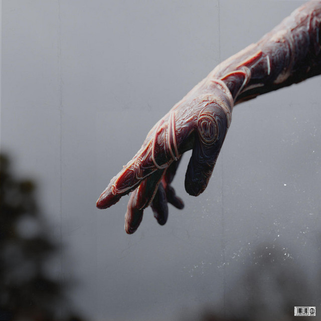 Windshield Wiper album cover art