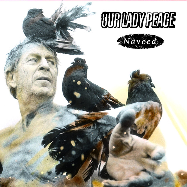 Naveed artwork