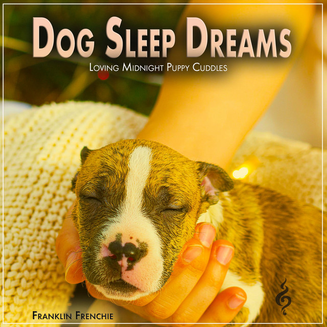 Dog Sleep Dreams album cover